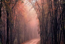 殡葬服务满意度测评新规实施，聚焦家属真实感受