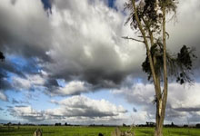 南京殡葬白事一条龙服务18021549153